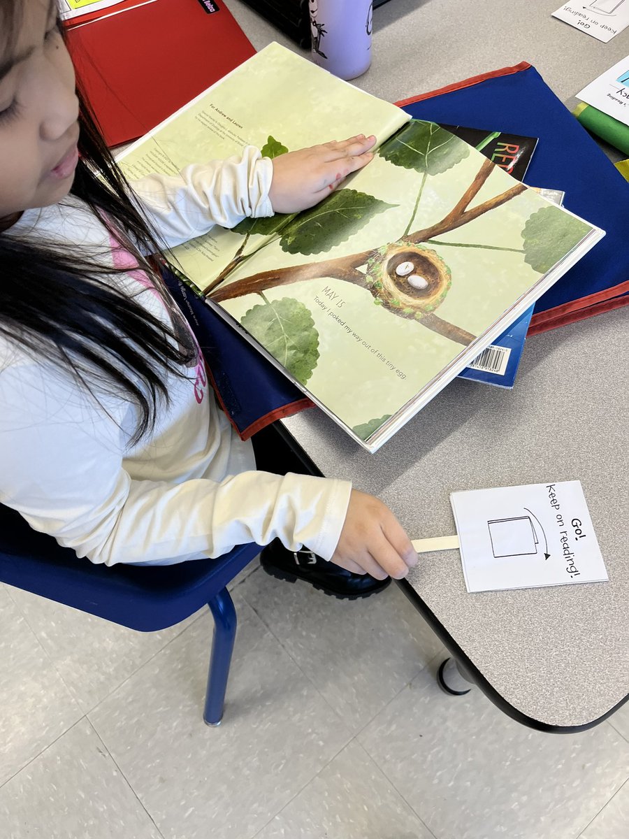 _anmontano's tweet photo. Students 💜 their Stop-and-Go paddles that remind them to stop when they come across a tricky word &amp; use learned strategies to help them solve! Increases engagement &amp; accountability, and is a great informal assessment for teachers! @TCRWP https://t.co/aCgAJzvmgA