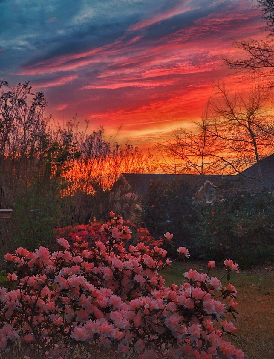 EdPiotrowski's tweet photo. Gorgeous spring sunset from Murrells Inlet.  Beautiful Paige Vick!  #scwx #ncwx https://t.co/zZAf5ACElP