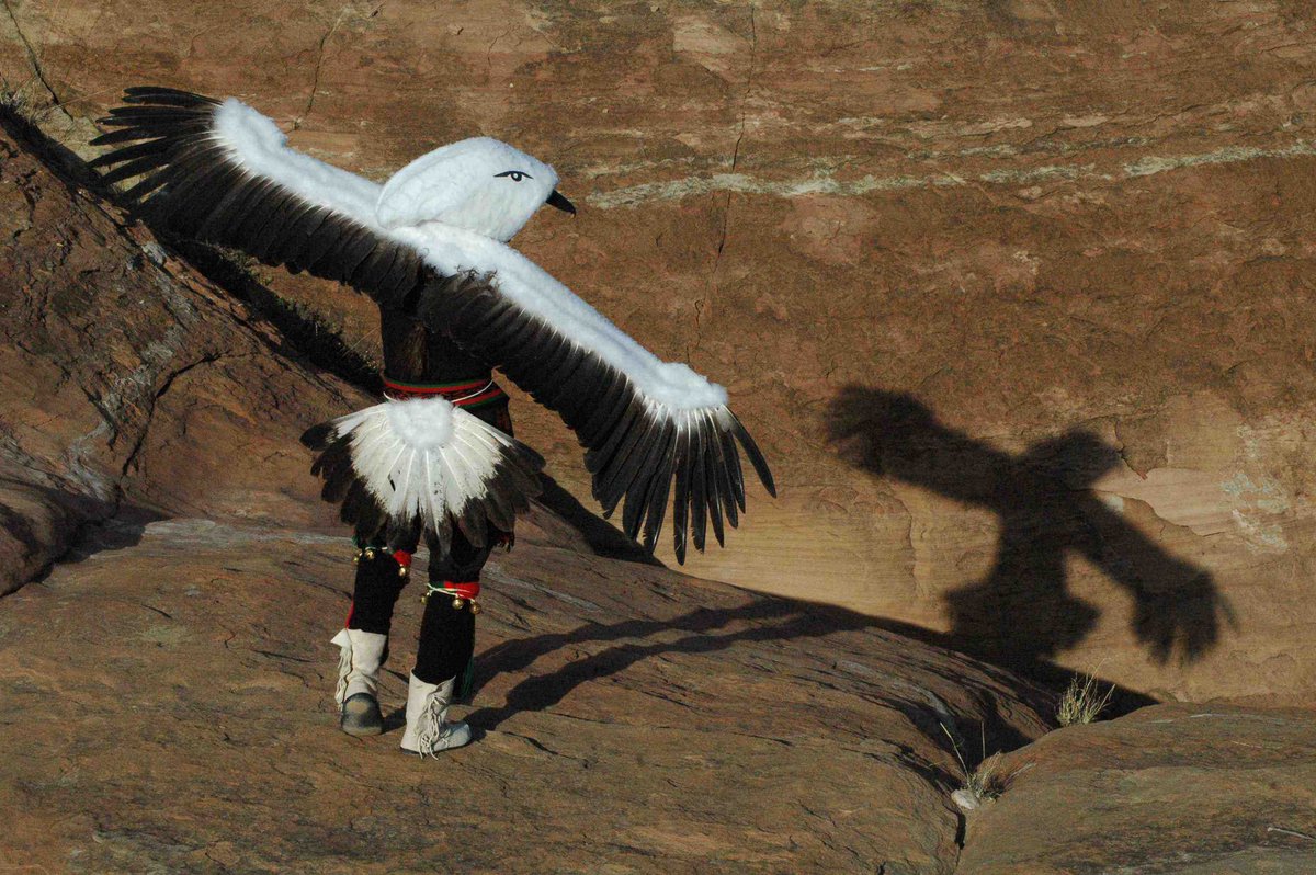 Native3rd's tweet photo. “A bird is safe in its nest
— but that is not what its wings are made for.”

~ A. Ray, 🪶✨ https://t.co/BUOHuMJFt4