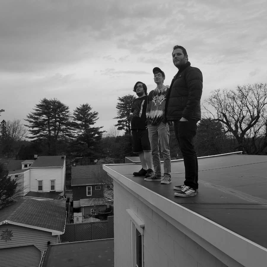 5 likes and we'll all jump
