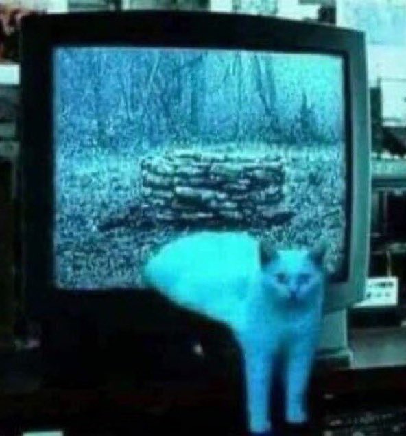horrorsthetics's tweet photo. can you watch them while i go smoke https://t.co/MSP2xRtXM7