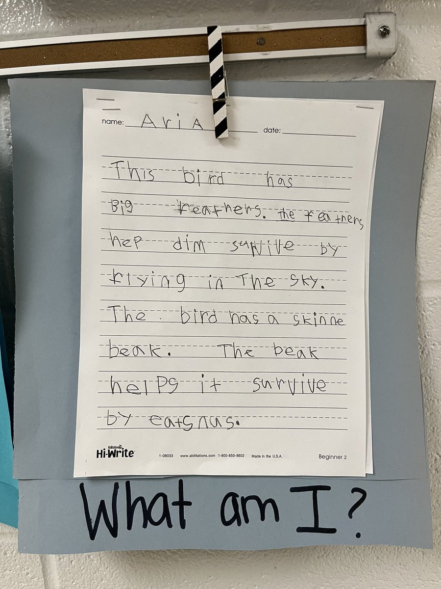 Amy Danino - BFES Literacy Coach tweet media