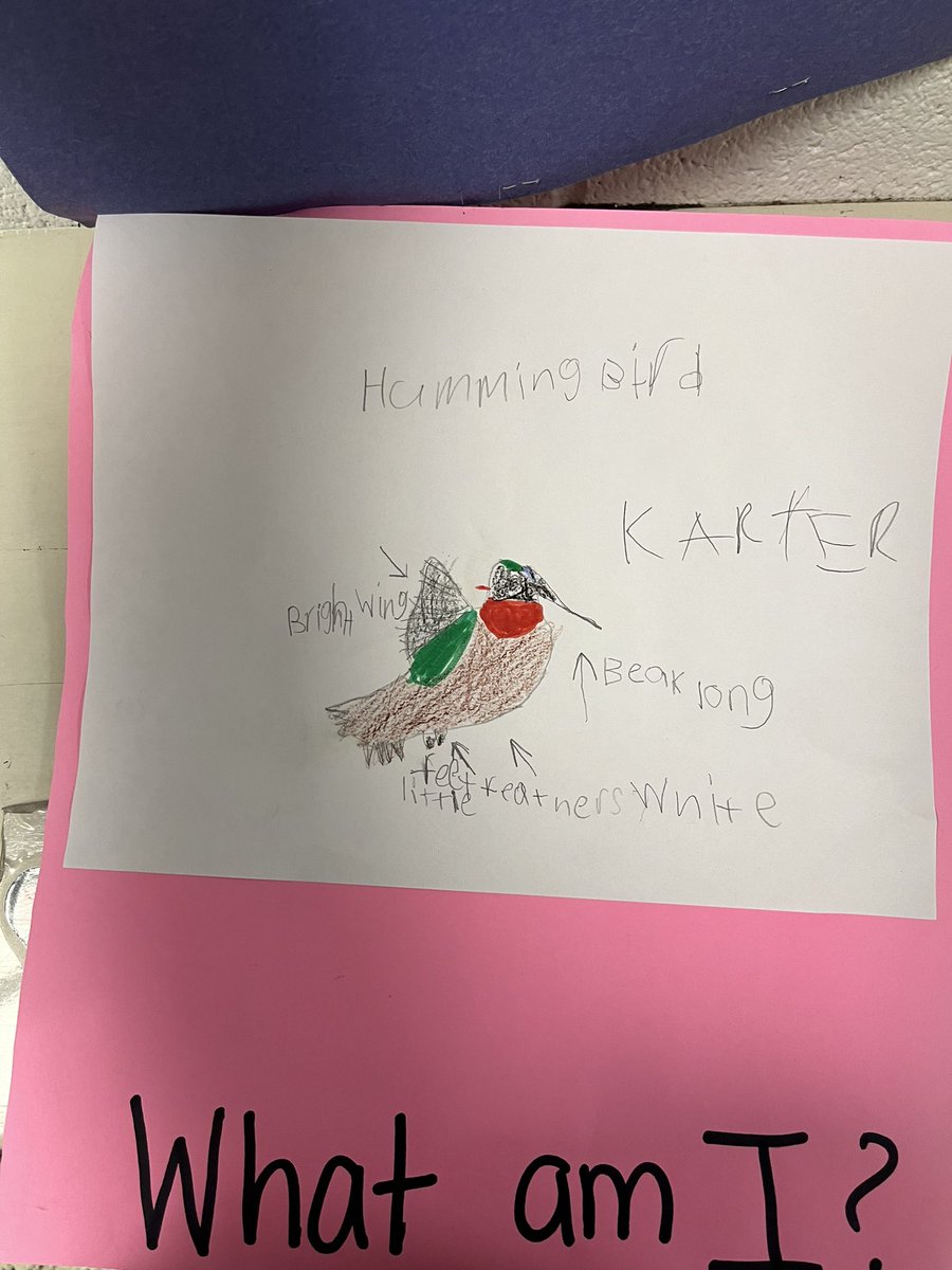 Amy Danino - BFES Literacy Coach (@amydanino) on Twitter photo 1st grade completed their Bird Riddles and they are hanging in the hallway!!They are AMAZING!!! Please check the comments for a few other examples! <a href="/JcpsElemEla/">JCPS Elementary ELA</a> <a href="/ELeducation/">EL Education</a> <a href="/BreckFrankES/">Breck-Frank Bullfrogs</a> <a href="/WhitisDustin/">Dustin Whitis</a> 1st grade completed their Bird Riddles and they are hanging in the hallway!!They are AMAZING!!! Please check the comments for a few other examples! <a href="/JcpsElemEla/">JCPS Elementary ELA</a> <a href="/ELeducation/">EL Education</a> <a href="/BreckFrankES/">Breck-Frank Bullfrogs</a> <a href="/WhitisDustin/">Dustin Whitis</a>