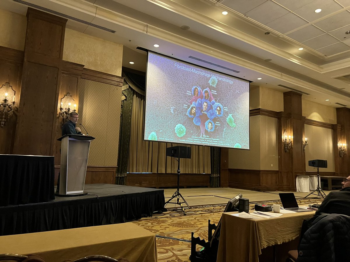 Boris hinz — organizer and speaker extraordinaire— gives great talk about fibroblast-macrophage interactions @KeystoneSymp #KSFibrosis23 #BanPF23