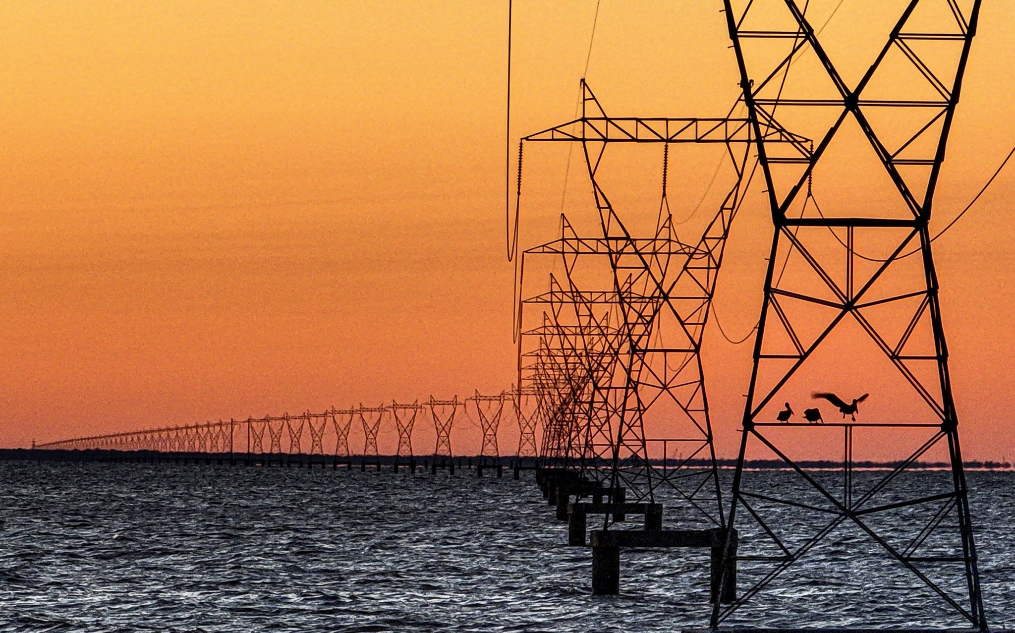 Marco on Twitter "Power transmission with pelicans, Lake Pontchartrain