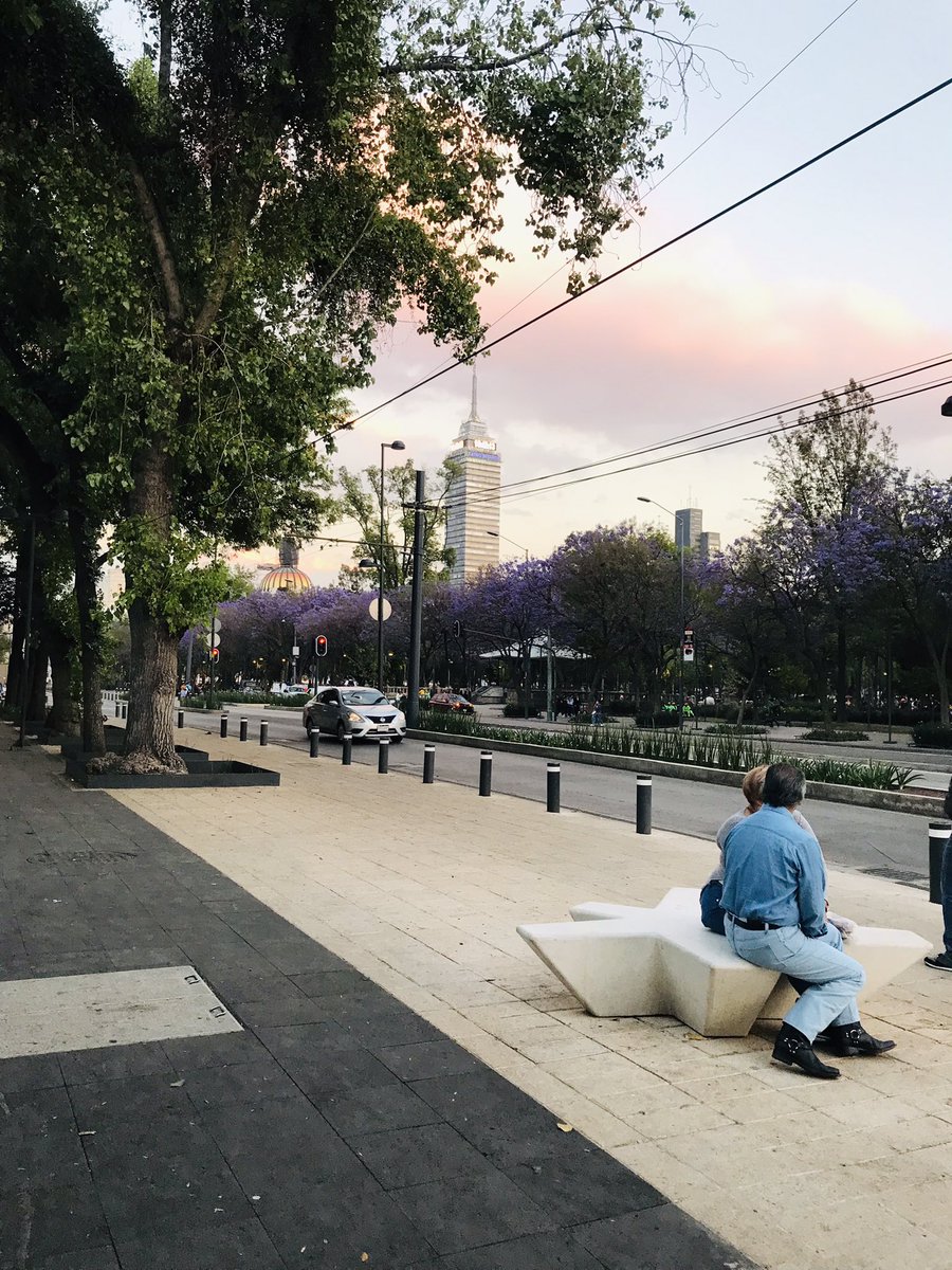 Fernand87181652's tweet photo. Una linda tarde 🌇 en la #CDMX 🇲🇽

✨listo para ver #jesusENUNIFE37 ✨

@UnifeMx https://t.co/zQZJouQ1OW