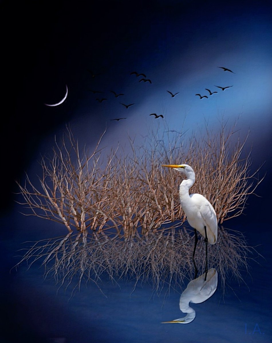 earthangel1☮️ tweet media