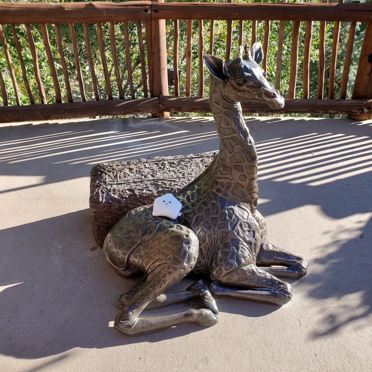 sucklet7's tweet photo. creatures. (ππ¦π¦π¦π¦§).
#sucklet. #creaturelet. https://t.co/Ex4tlXdV5E