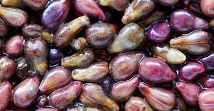 CurableSmoothie's tweet photo. #The Most of Common Types of Women Cancer: #lungcancer - Herbal Treatment - #GrapeSeedExtract https://t.co/ieQP4oFjlm https://t.co/eZbWaAZeuZ