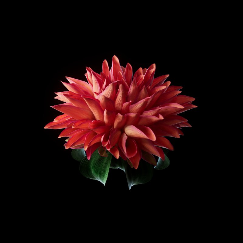 My Heterosis from <a href="/ogdotart/">OG.art by SNARK</a>