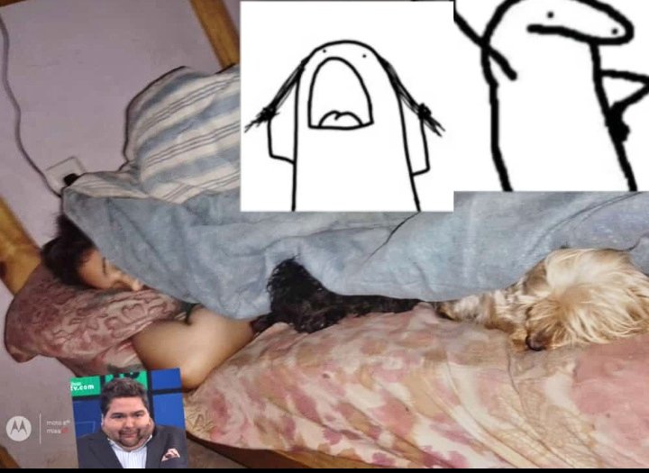 -Ya andarás contenta con tu día frío y nublado.
Mis hijos perrunos y Yo.