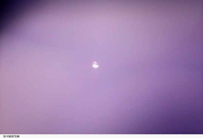 Bob 👽 🛸 tweet media