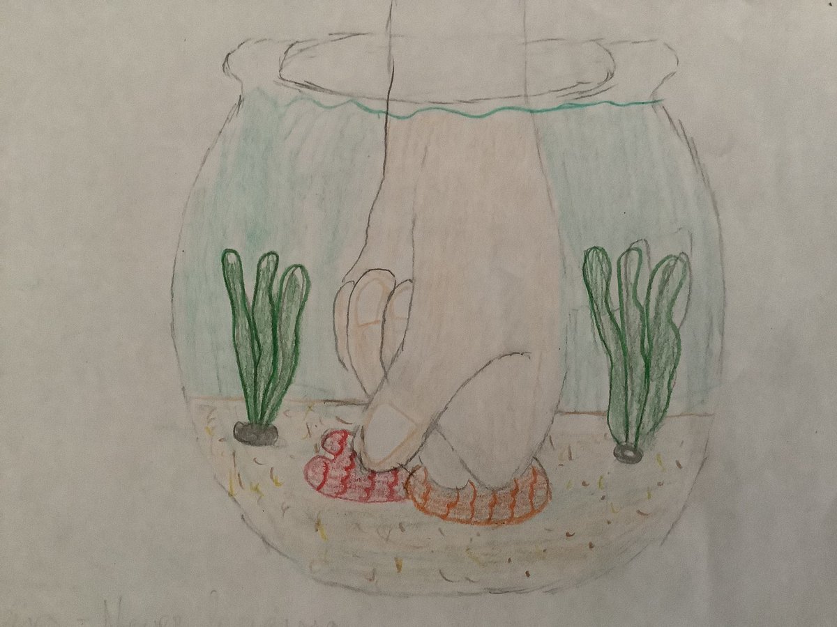 YYCcm2b's tweet photo. @yyc_ce1 3ème envoi:
« Noyer le poisson » « il fait un froid de canard » « jeter quelqu’un aux lions » « raconter des salades » https://t.co/CaBGSlNTOL