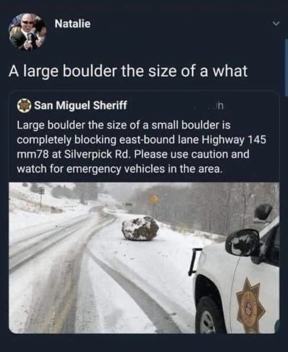 Braindead Bird App tweet media