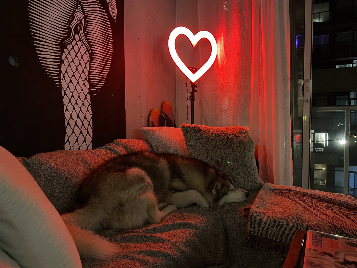 Ilona Dusk tweet media