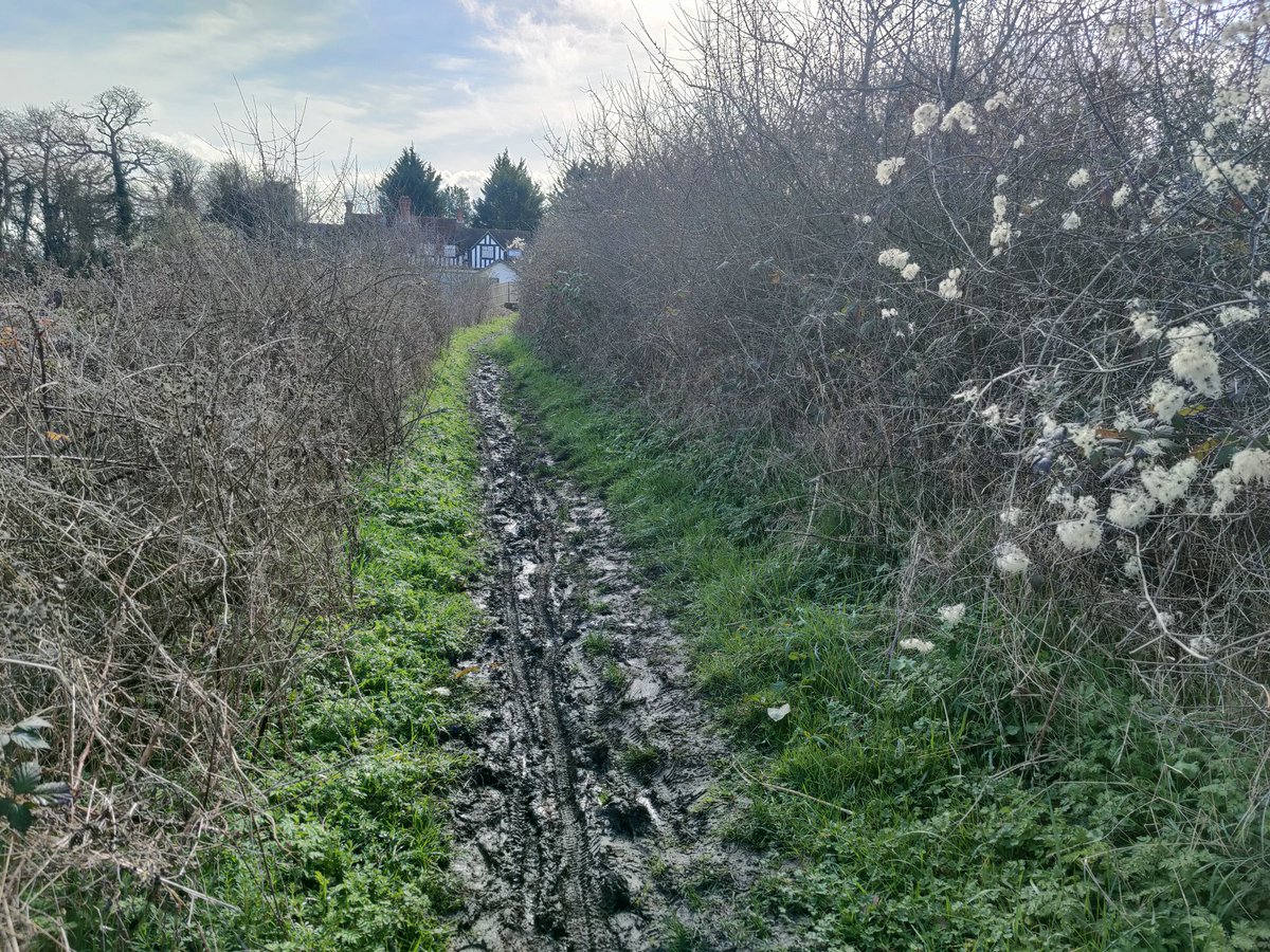 droneski's tweet photo. Might be ok in the summer but this so called route to @miltonpark as part of SVCN @OxfordshireCC is not encouraging so much for route 4. Route 2 from Steventon is just as bad. Stop encouraging cycle to work till the infrastructure is in place. Best get back to using a car. https://t.co/ysnYmrYvCx