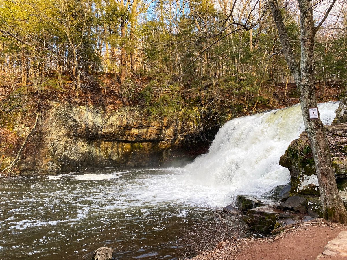 Lisa & James Cameron tweet media