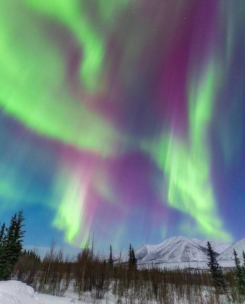 “The best aurora I’ve ever seen!”✨ . . 📸 @nicholas_j._narog_photography . . #explorefairbanks #alaska #fairbanksalaska #fairbanks #arcticalaska #north #northernlightsphotos #brooksrange #arcticcircle #coldfoot #travel #northernlights #auroraborealis… instagr.am/p/CqEkREqpQQv/