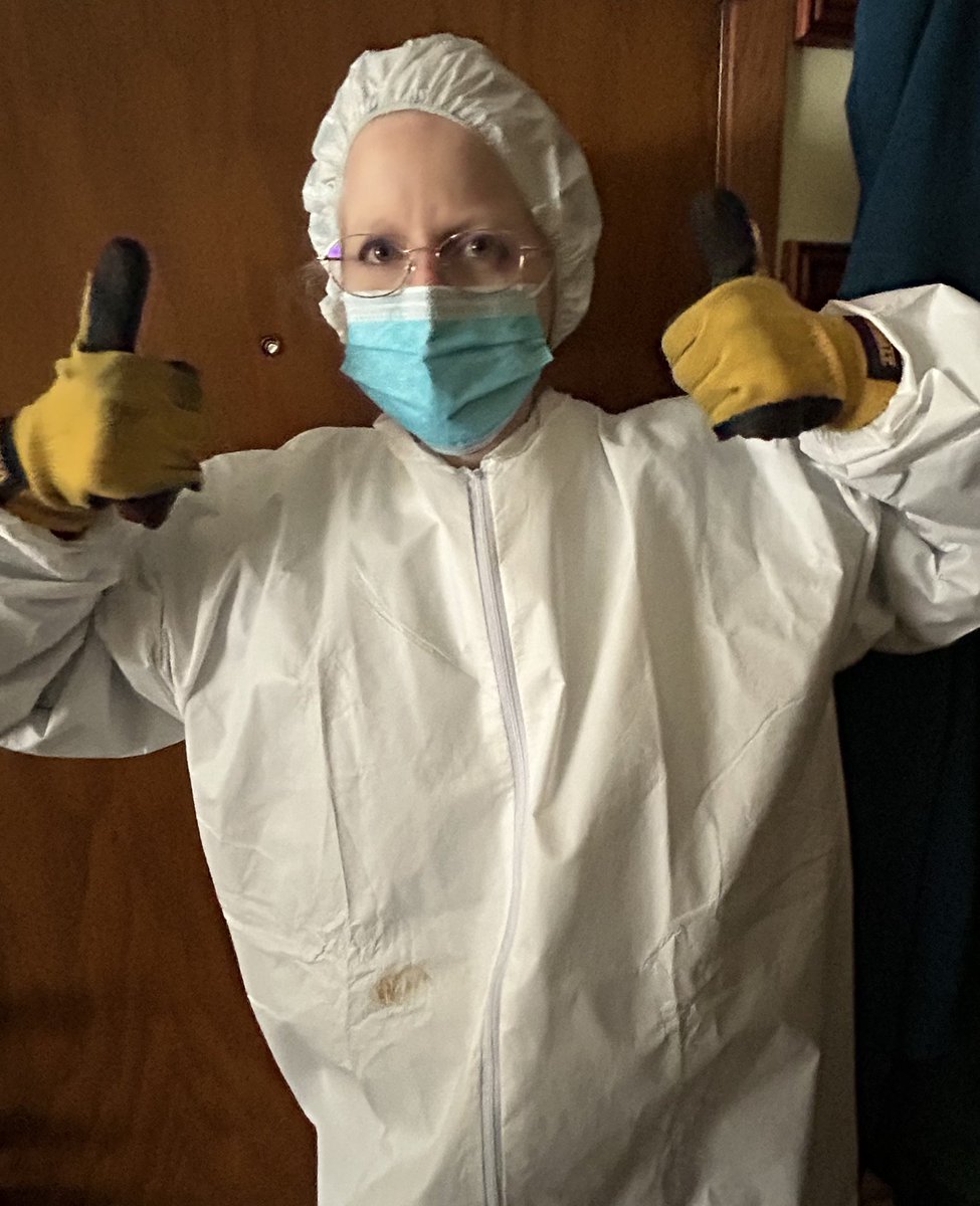 LouiseMAamodt's tweet image. Not amused. Crawled through attic insulation to plug suspected mouse hole that wasn’t there after all. I am outwitted by 🐭 🐭 #WritingCommunity #AmWriting #HumaneControl