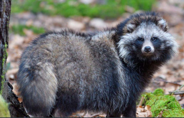 Second City Bureaucrat on Twitter: "God AI"