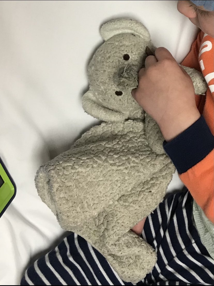 derekpbaker's tweet photo. @SouthwestAir My son may have left his beloved elephant on flight 2241 on 3/20/23. Do you happen to have a lost and found? https://t.co/YNYpjwk7bT