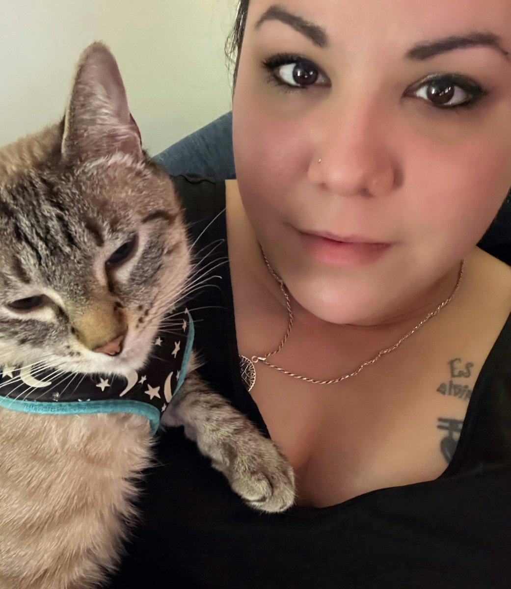 ClaraElenaDice's tweet photo. Heard someone say it’s #KittyTuesday 😽 https://t.co/jebGAmn7tR