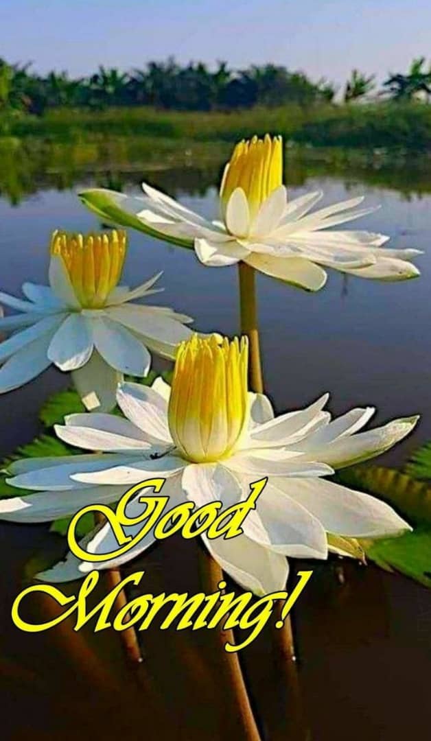 Sriaran7's tweet photo. Yiniye nalkalai 🌹 🌹 https://t.co/DLmFFFD8eu