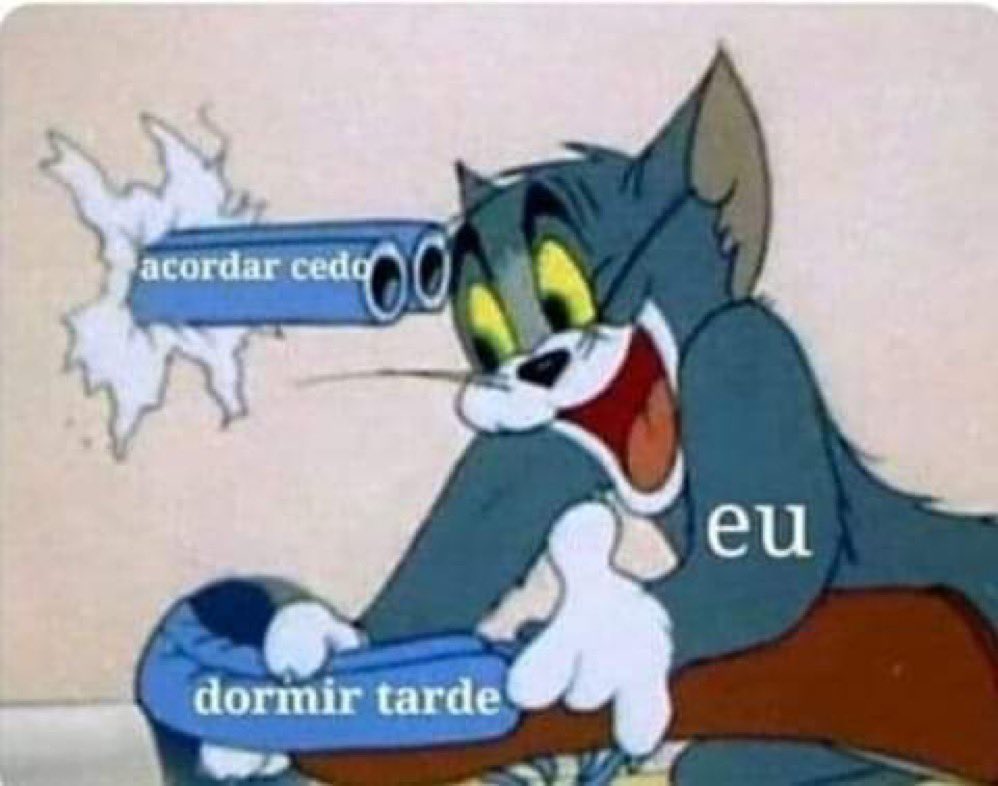 todo dia