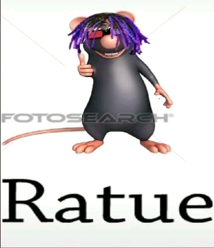 Shitpost só que de verdade (@shitpostverdade) on Twitter photo 