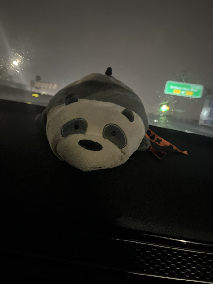 thefluffymallow's tweet photo. Itโs that time again #PAXPanda is ready!!! #PAXEast here we come!! https://t.co/EscnbVbrK0