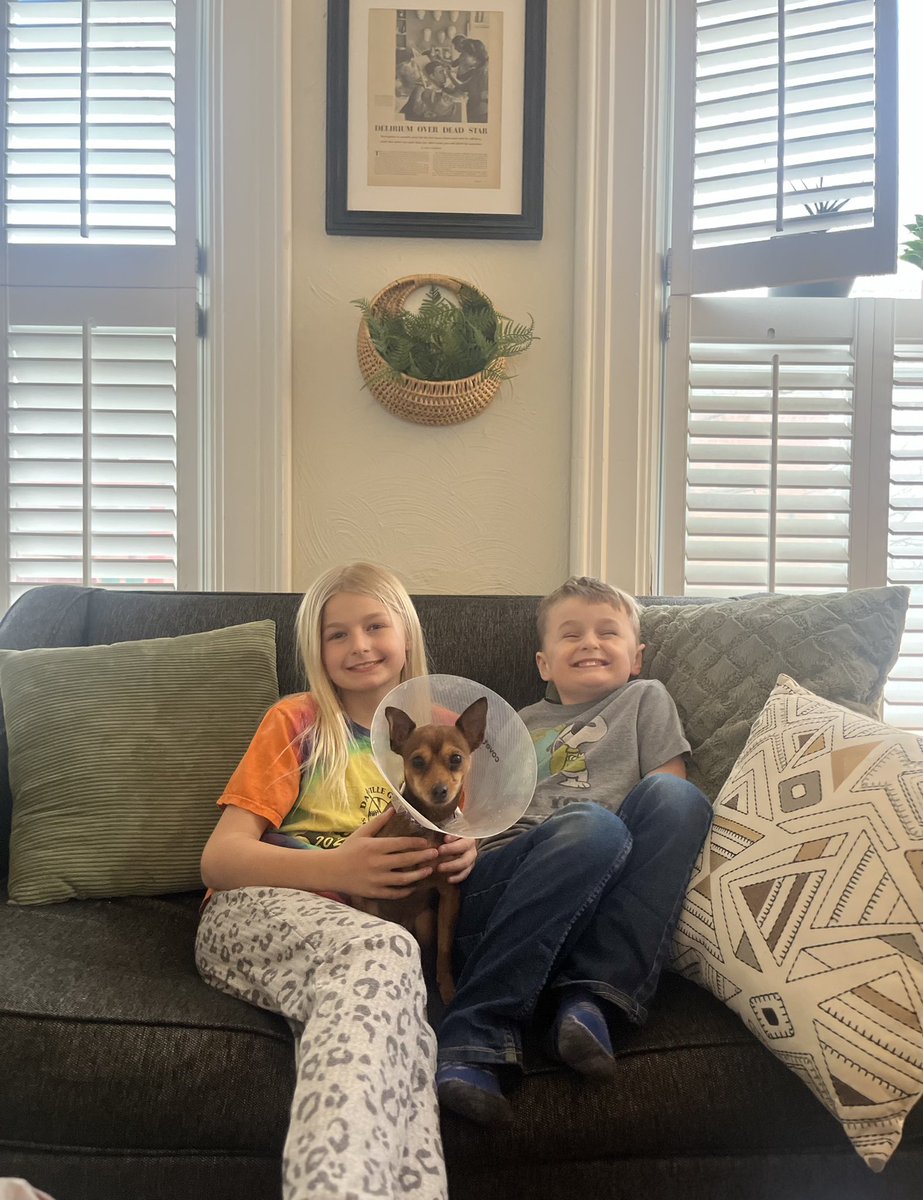 BIG news! Sticks found his forever home!! 🥳 He has little humans to play with & a new dog bestie. He was so immed in love with all of them that he didn’t even notice when his foster mom left the visit. Happiest of trails, sweet little man! 🥹❤️❤️@OnPatrolNation @OnPatrolLive