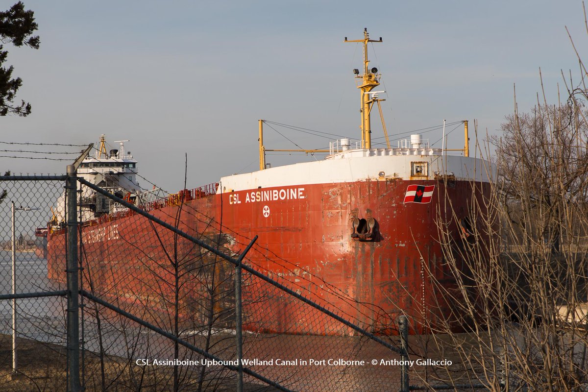 A_Gallaccio's tweet photo. .@CSLships #cslassiniboine #upbound #wellandCanal @hwyh2o #portcolborne @PortColborne
More photos: https://t.co/kC3ICEQujh https://t.co/kThWwOauG5