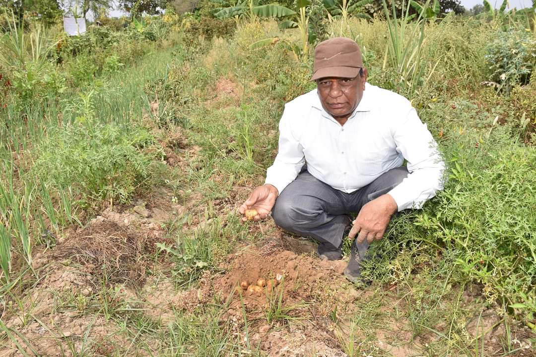 AtmaDahod's tweet image. પ્રાકૃતિક ખેતી કરતા ખેડૂતની સાફલ્યગાથા