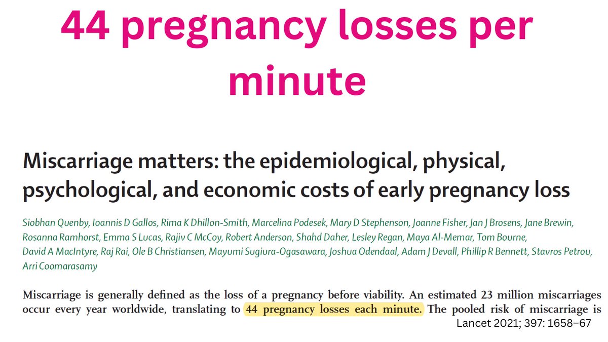 Carolyn Ledowsky tweet media