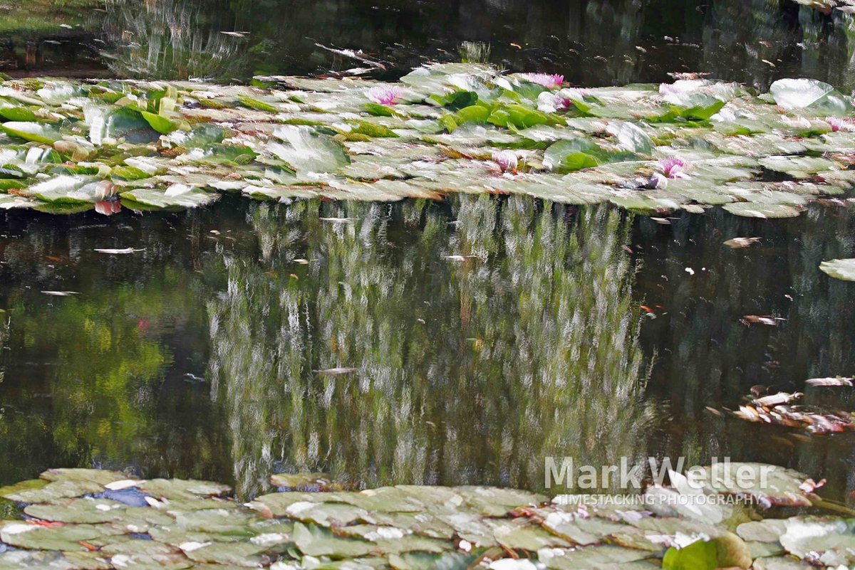 TimeStacking1's tweet photo. This pond was created by #ClaudeMonet for the purpose of establishing a space filled with color, texture and ambiance which he turned into images embraced by generations of art lovers and changed the course of art history. #TimeStacking #PhotoArt Gallery https://t.co/dgEXQjc15k https://t.co/UNsSYnowFe