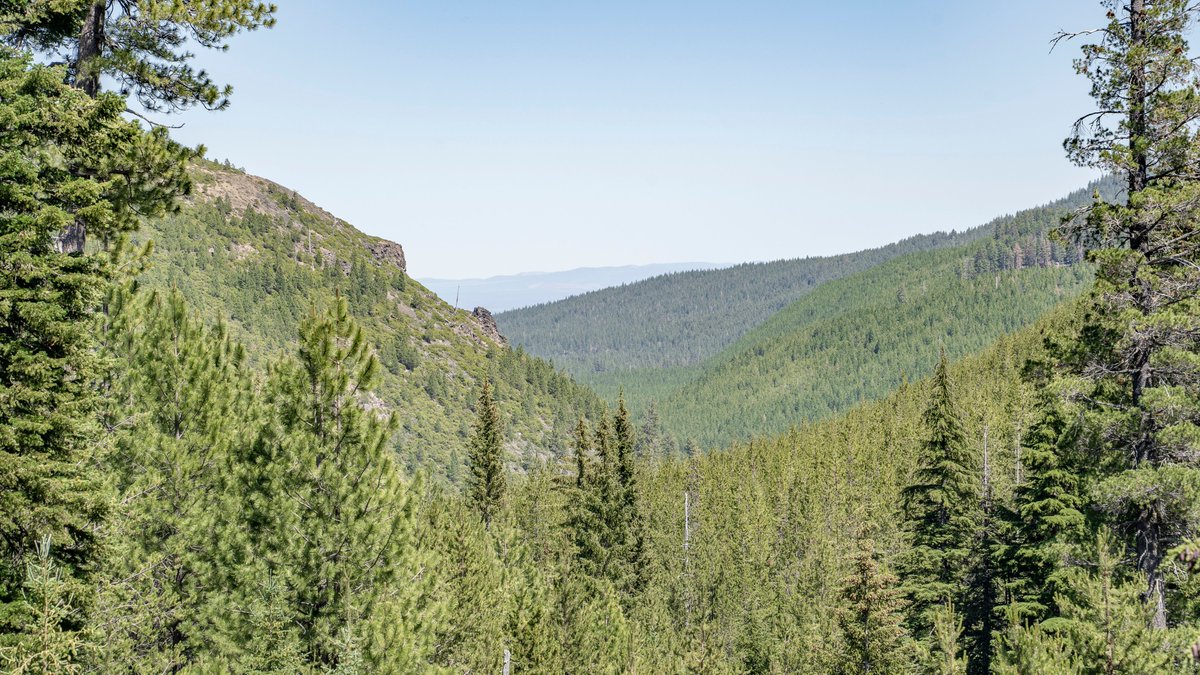 neverduskys's tweet photo. Tumalo Falls Loop
Deschutes National Forest 
Oregon https://t.co/dzVevXLSOT