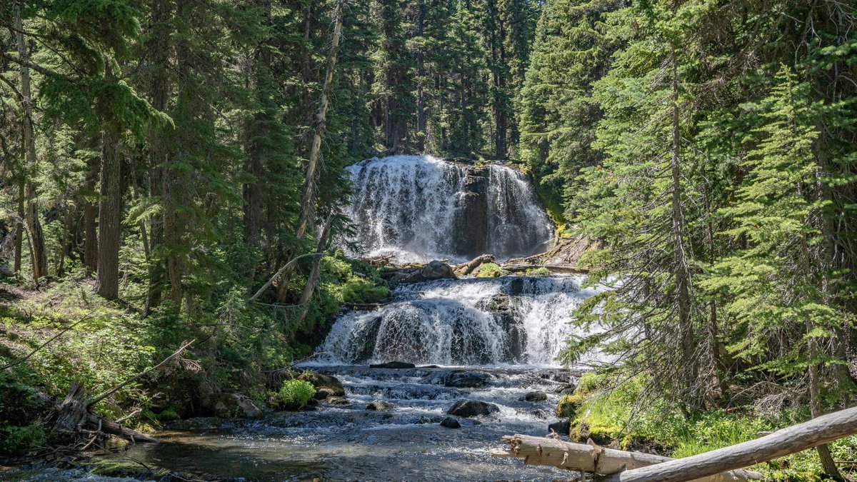 neverduskys's tweet photo. Tumalo Falls Loop
Deschutes National Forest 
Oregon https://t.co/dzVevXLSOT