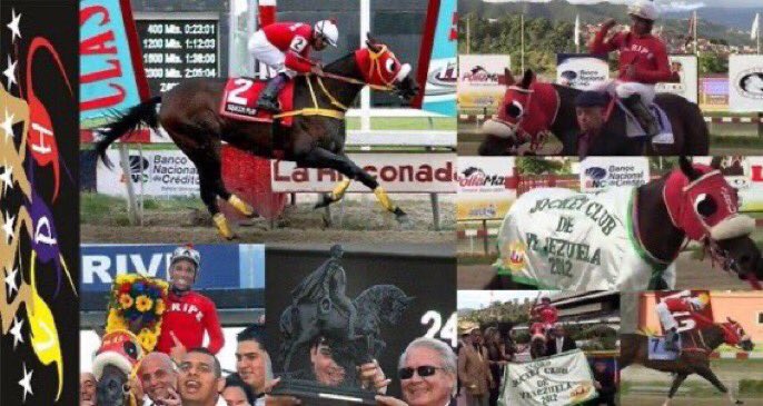 22-3-2007 nació SQUEZZE PLAY en Haras San Francisco <a href="/drclarrazabal/">Carlos Larrazábal</a> múltiple ganador clásico, con una de las atropelladas mas fulminantes de la historia del hipismo venezolano