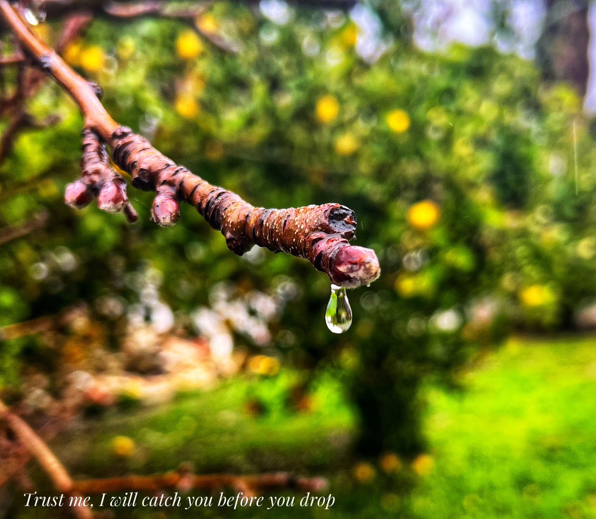 kingslife2009's tweet photo. An evening to cherish!!! Some fantastic moments with space friends followed by a walk in the rain. Glad it all happened. #nature #rainclicks https://t.co/MKmNZ5g5Hk