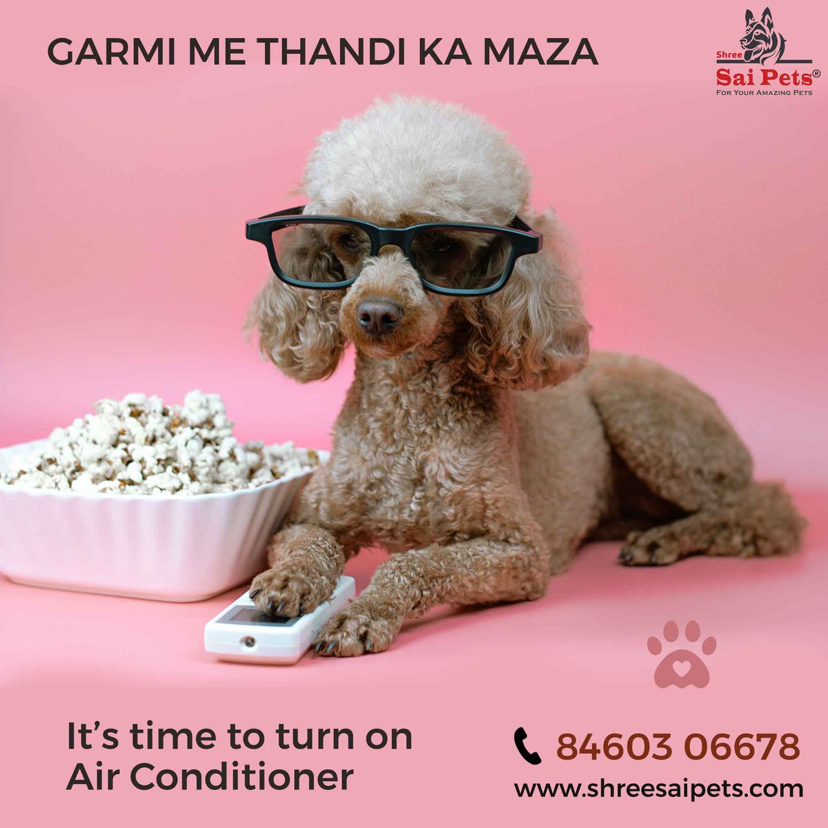 ShreeSaiPets's tweet image. Summer Special Products @ Best Price for all your loved one #Pets
Call or WhatsApp: wa.me/918460306678

#summerPets #dog #summer #PetsLife #HappyPets #summervibes #summertime #adoption #cutePets #beachPets #sun #PetShop #ShreeSaiPets #SummerFashion #SummerFood #CareForPets