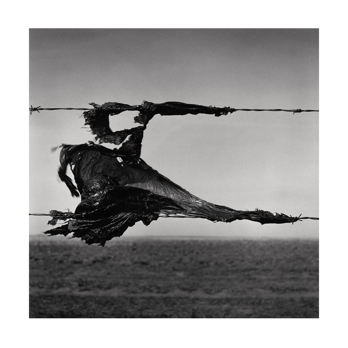 The next CAPS meeting is tomorrow, March 22. This weeks guest is Wes Bell. He'll talk about his series "Snag" which is on show at Gallery@501in Sherwood Park. This meeting will be on ZOOM only. The link for the presentation can be found at
eventbrite.com/e/unravelling-…