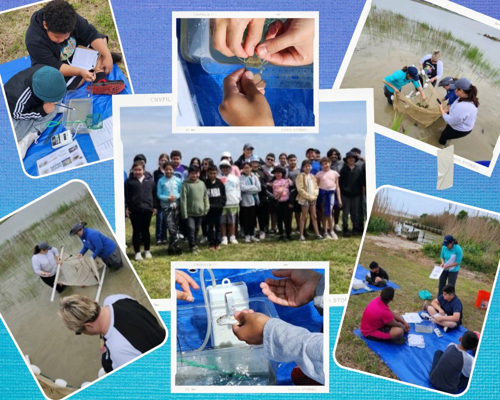 Maritza Pruitt (@maritza_pruitt_) on Twitter photo 5th GRADE CUBS learned about the Galveston Bay ecosystem with the Galveston Bay Foundation! π»π Thank you, <a href="/GBayFoundation/">Galveston Bay Foundation</a> !!! <a href="/crenshawcubs/">Crenshaw Elementary</a> 5th GRADE CUBS learned about the Galveston Bay ecosystem with the Galveston Bay Foundation! π»π Thank you, <a href="/GBayFoundation/">Galveston Bay Foundation</a> !!! <a href="/crenshawcubs/">Crenshaw Elementary</a>