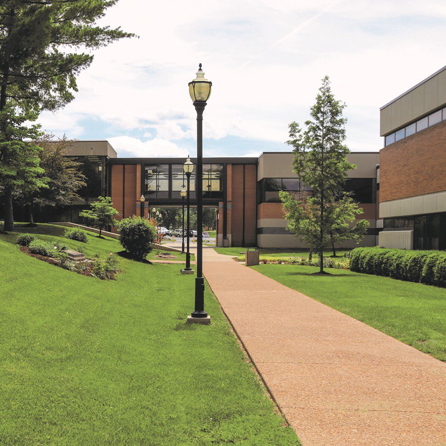 Carter Higgins tweet media