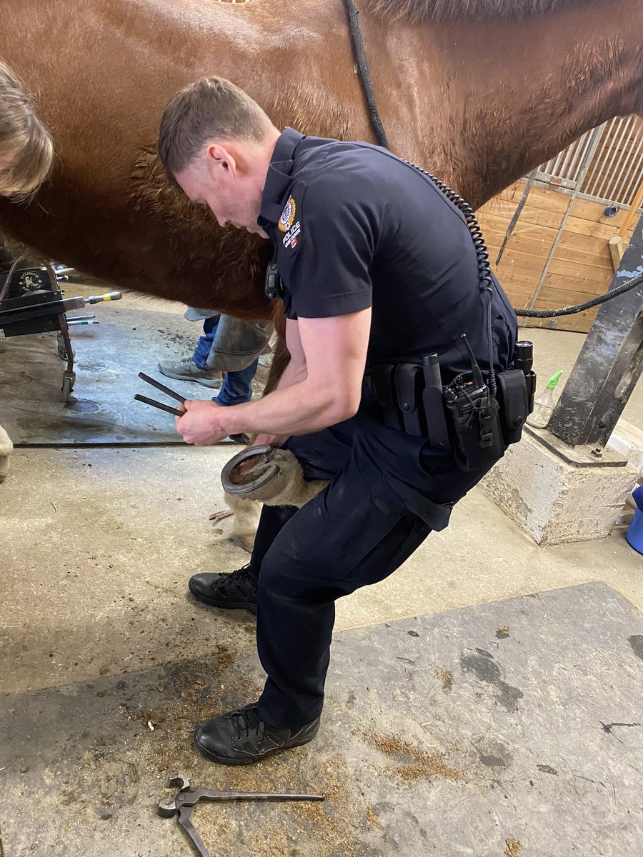 Welcome to the Mounted Unit, Cst Farell! He’s started this new journey off by shadowing our farrier today. <a href="/VancouverPD/">Vancouver Police</a> <a href="/ParkBoard/">Vancouver Board of Parks and Recreation</a> #Vpdhorses #StanleyPark #FirstResponders