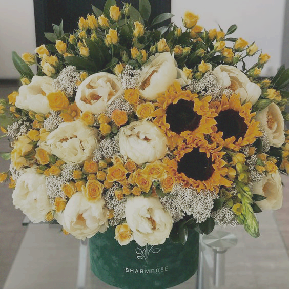 ⠀ 

              But I'm a fire and I'll keep
                            your brittle heart warm.