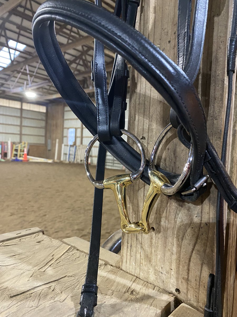 My horse has expensive taste. Literally. 🤣