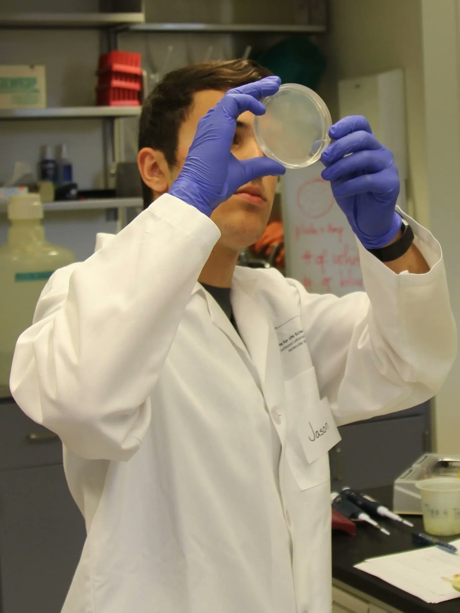 scienceupsu's tweet photo. High school students in our Biotechnology Mini Summer School have the opportunity to learn about DNA and biotechnology. DNA cloning and PCR will be introduced in this 3-day program scheduled for July 5-7. See https://t.co/WIvujK13xS for details and a short application. https://t.co/4Z0gllhurT