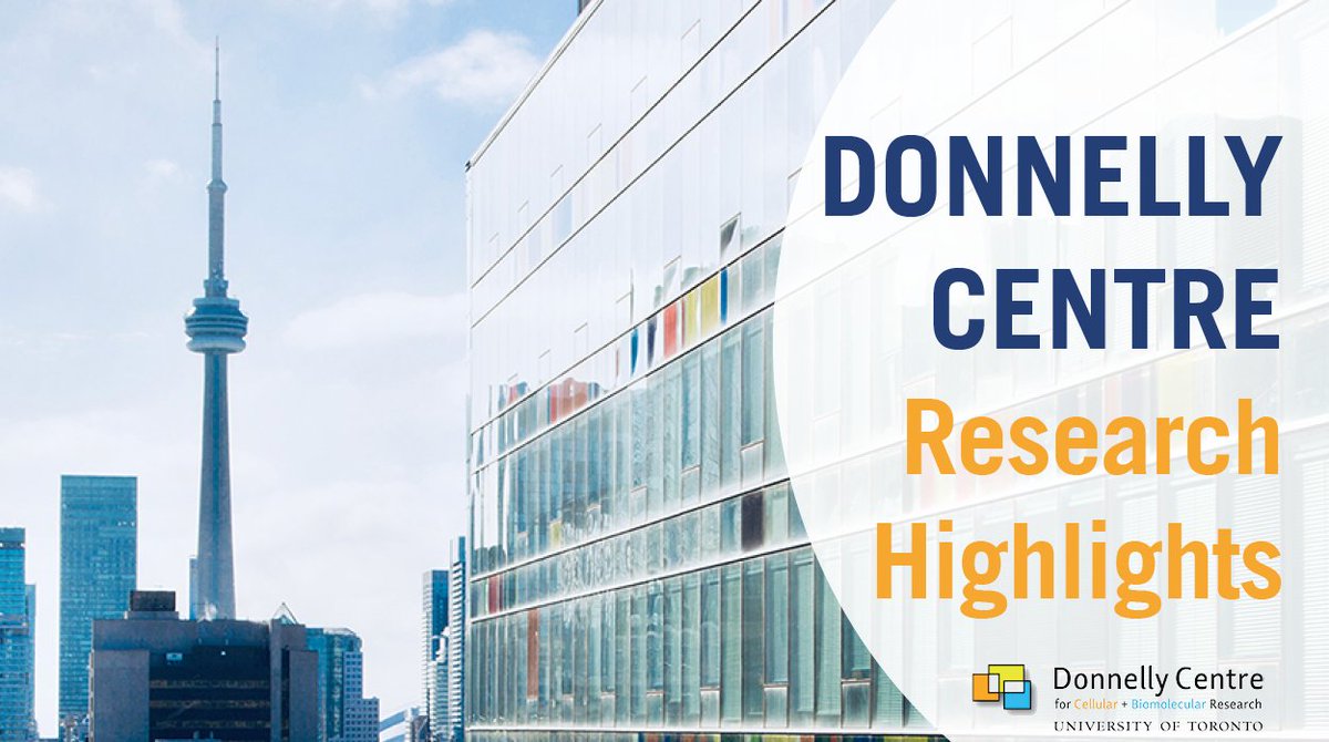 The 2022 <a href="/DonnellyCentre/">Donnelly Centre</a> Annual Report is now available! Check out some of our highlights from the recent year -  including the innovative and inspiring discoveries by our scientific community. 

thedonnellycentre.utoronto.ca/sites/default/…
