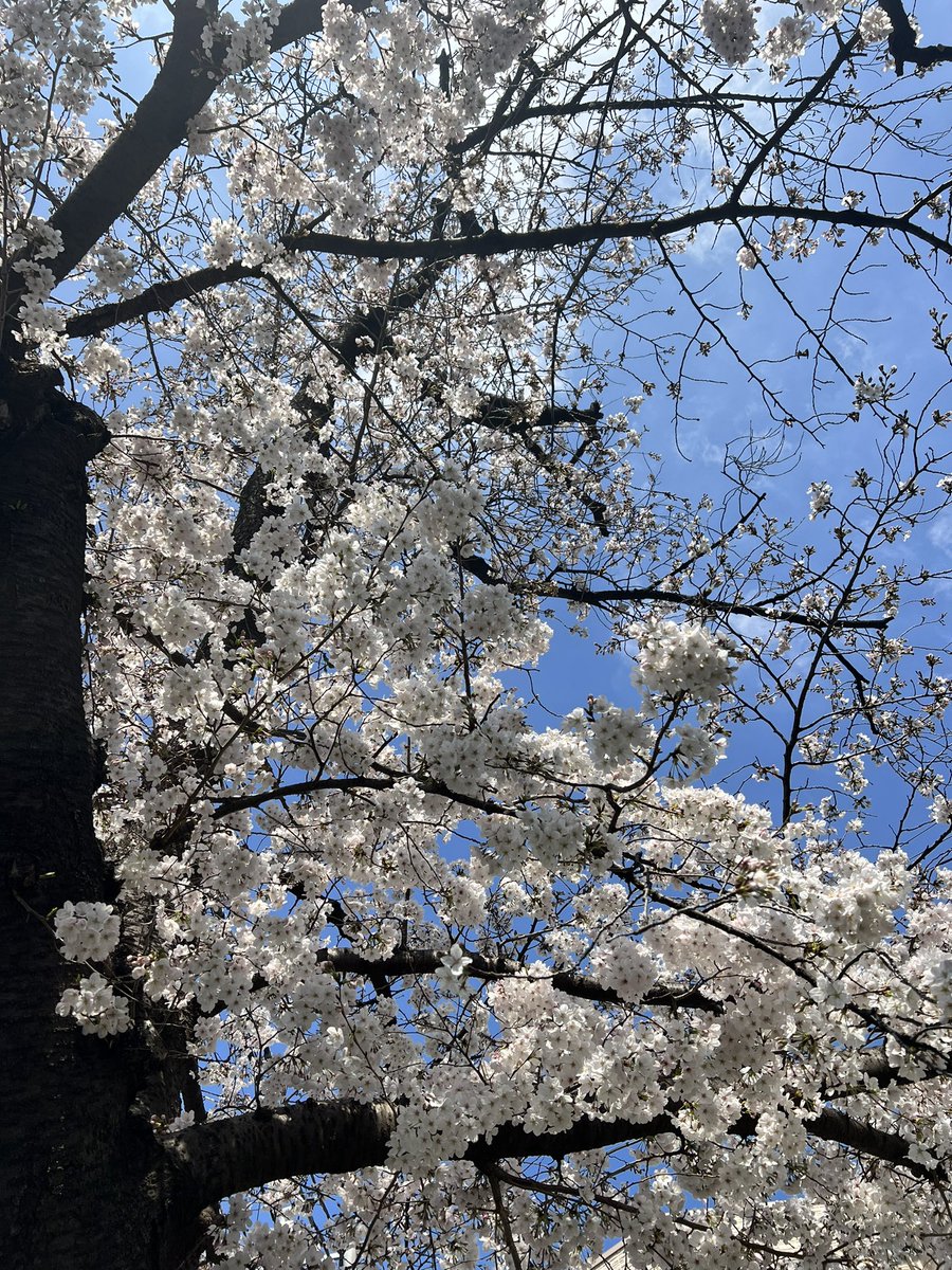 Kieks ✨ tweet media