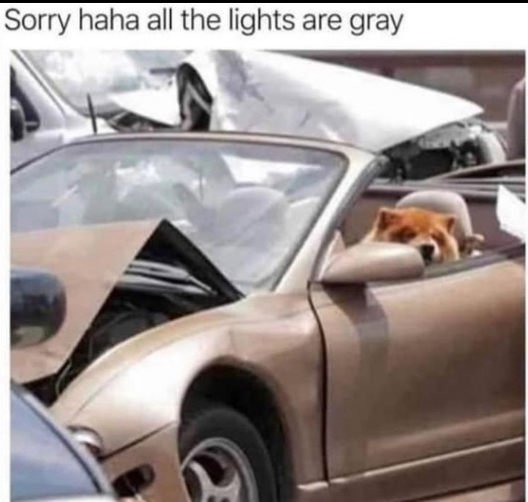 ȶႬᕪ 𐌀டΐᕪቢ ┯ⲅลԂᕪⲅ 👽🤌 (@thetradingalien) on Twitter photo 